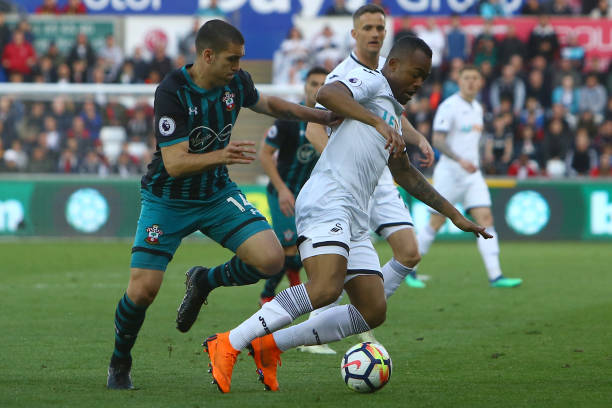 这一政策不 这一政策不